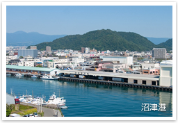 沼津港