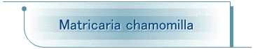 Matricaria chamomilla