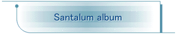 Santalum album