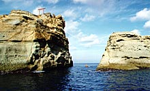 牛着岩