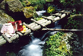 ����Y�R�n�C�L���O