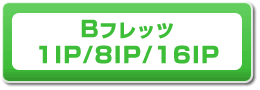 Bフレッツ 1IP/8IP/16IP
