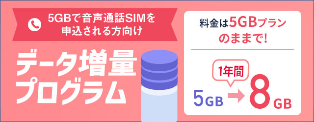 データ増量プログラム